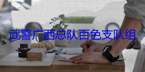武警广西总组织官兵开展军事体育队百色支队运动会